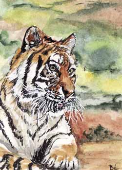 "Tiger" by Beverly Larson, Oregon WI - Watercolor, SOLD